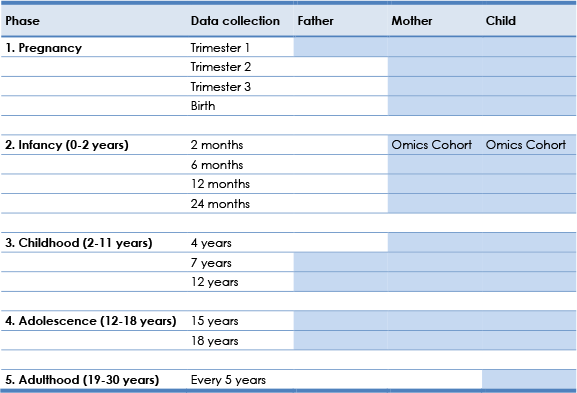 Health determinants and outcomes covered by the project