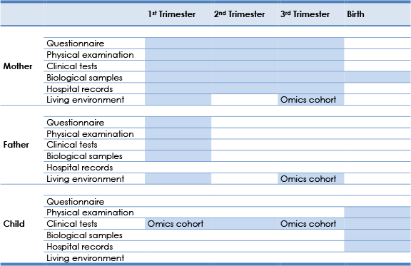 Health determinants and outcomes covered by the project